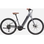 Cannondale Adventure Neo 4