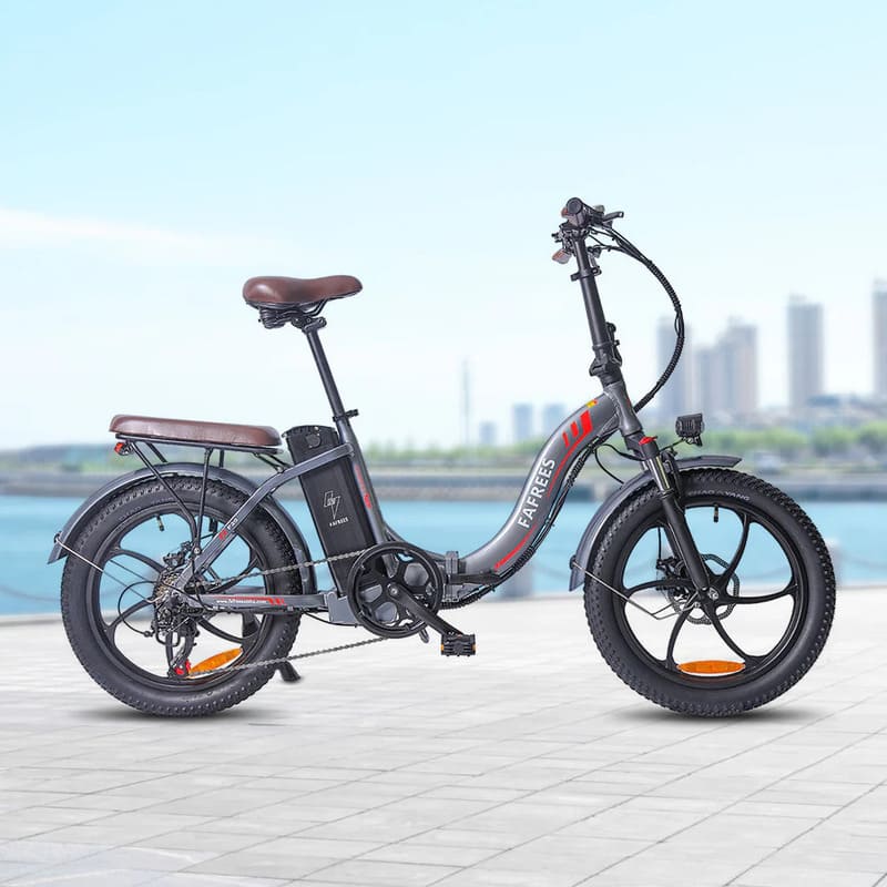 Fafrees F20 Pro 250W 20" Vélo électrique pliant