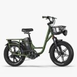 Fiido T1 Pro Vélo électrique Cargo