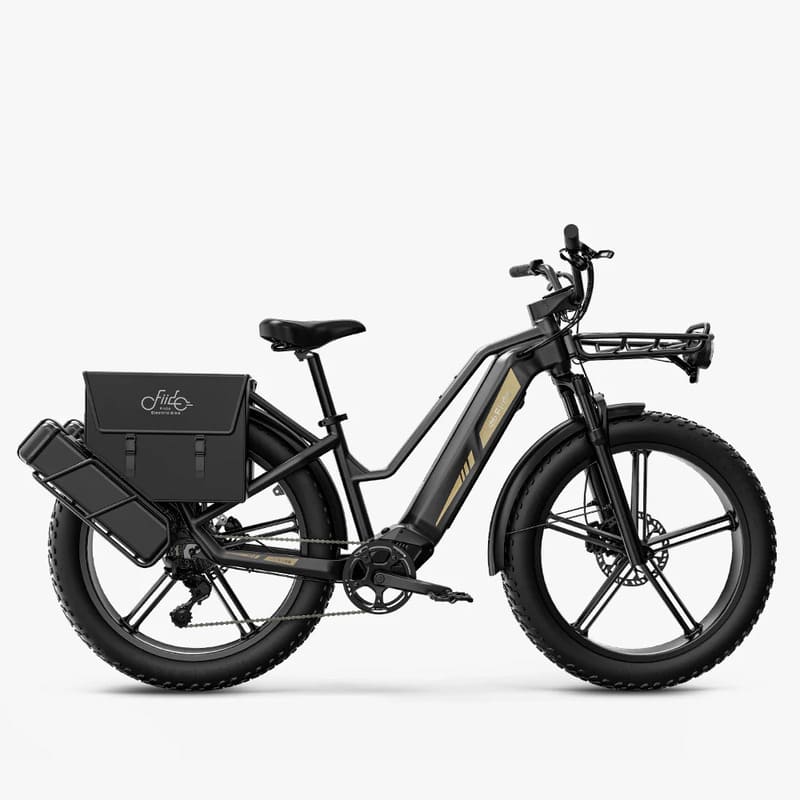 Fiido Titan Vélo électrique Cross & Randonnée