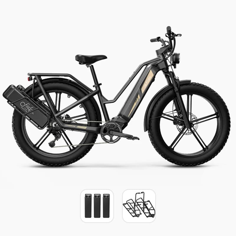 Fiido Titan Vélo électrique Cross & Randonnée