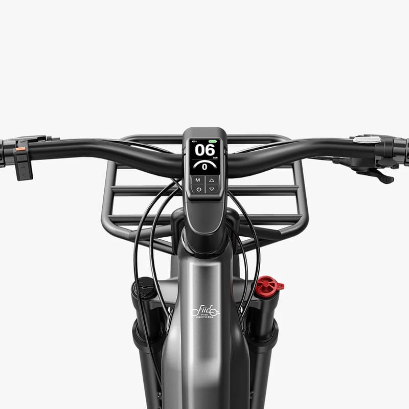 Fiido Titan Vélo électrique Cross & Randonnée