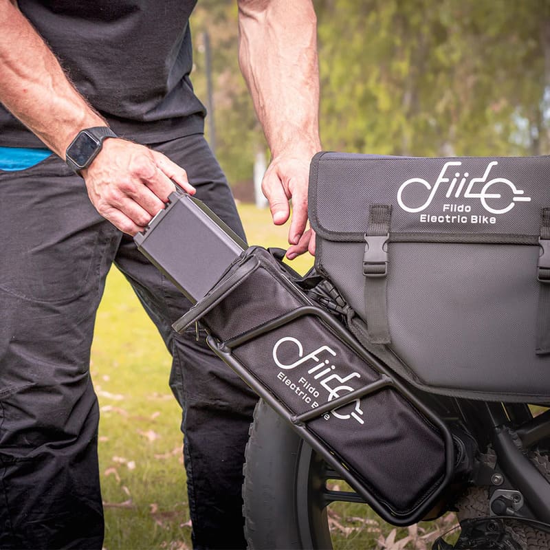 Fiido Titan Vélo électrique Cross & Randonnée