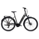 Giant DailyTour E+ 2 D LDS (RideDash Evo)