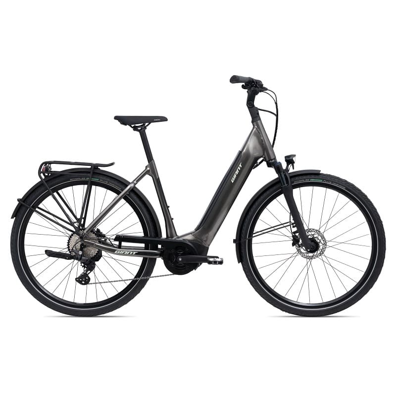 Giant DailyTour E+ 2 D LDS (RideDash Evo)