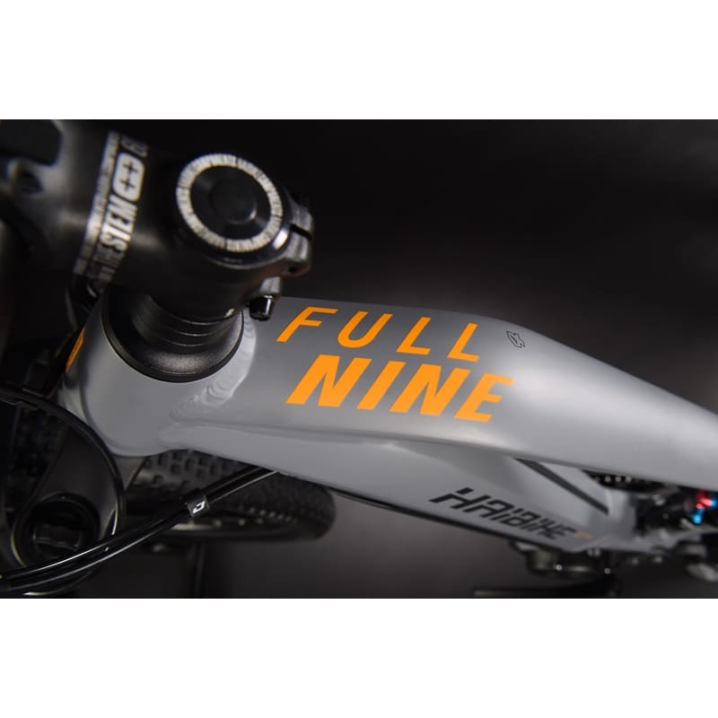 Haibike FULLNINE 4