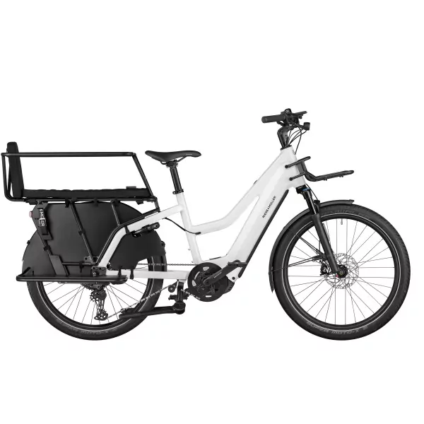 Riese & Müller Multicharger2 Mixte GT Family 2024