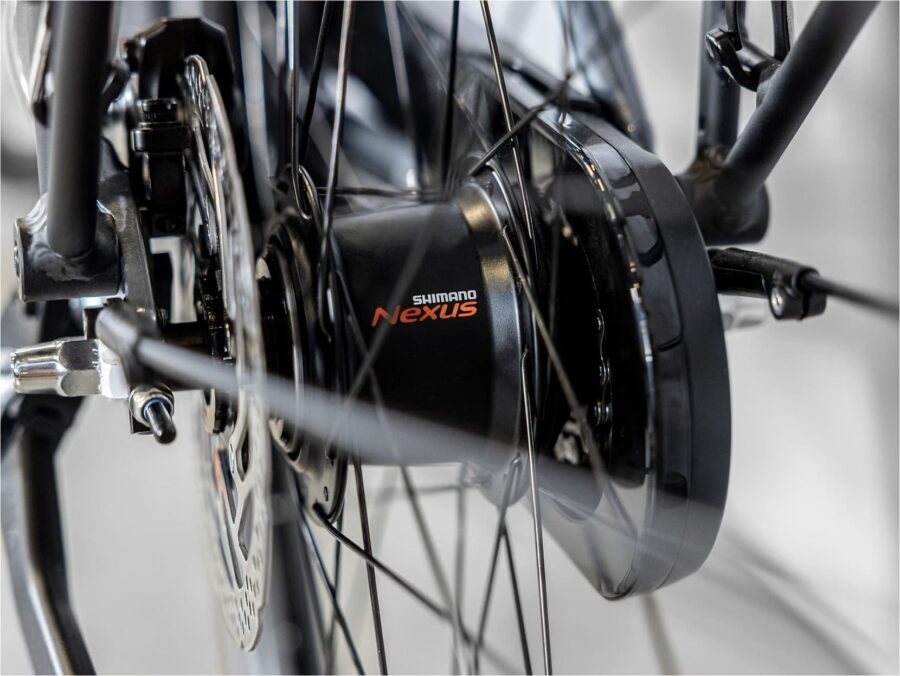 Trek District+ 2 Lowstep 300 Wh 2023