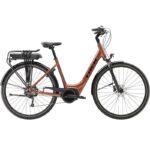Trek Verve+ 1 Lowstep Shimano Tourney/Altus 500 Wh Orange 2023