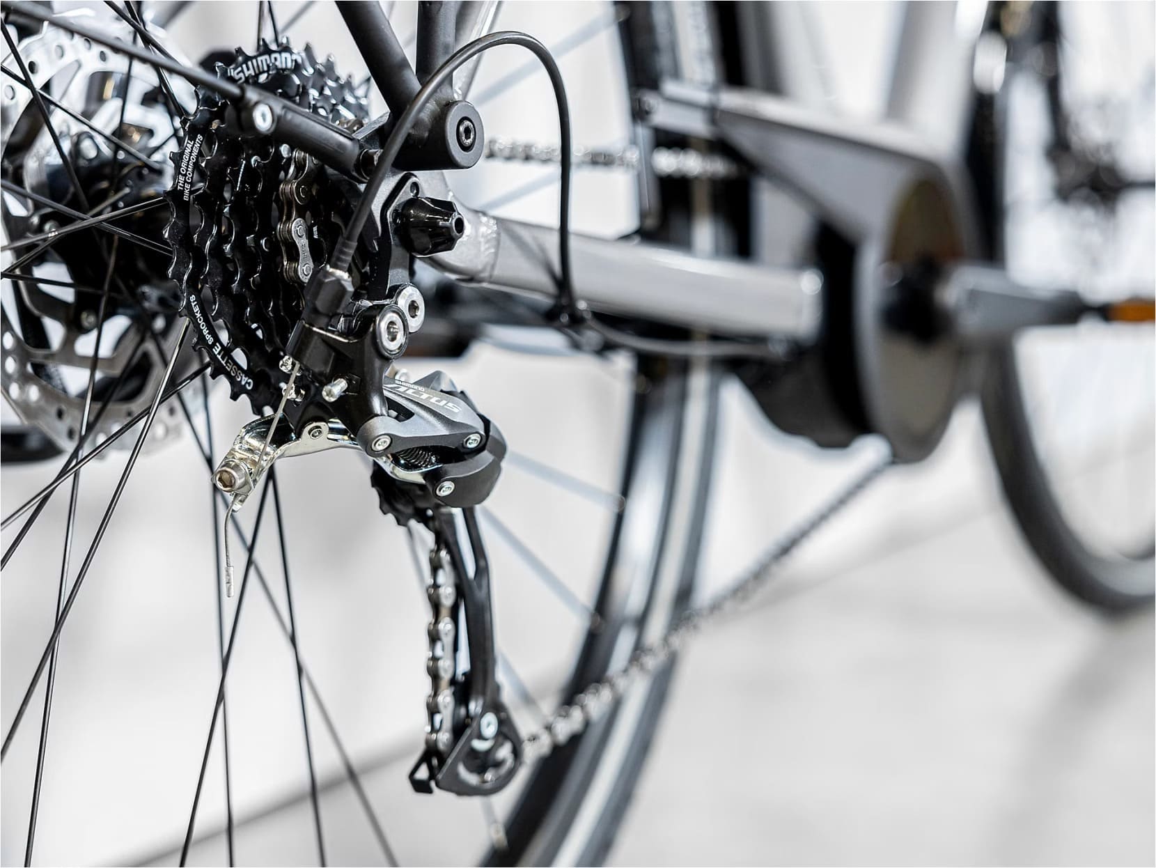 Trek Verve+ 1 Shimano Tourney/Altus 8V 300 Wh Gris 2023