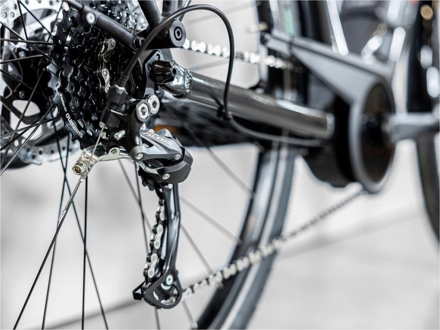 Trek Verve+ 2 Shimano Acera/Altus 300 Wh 2023