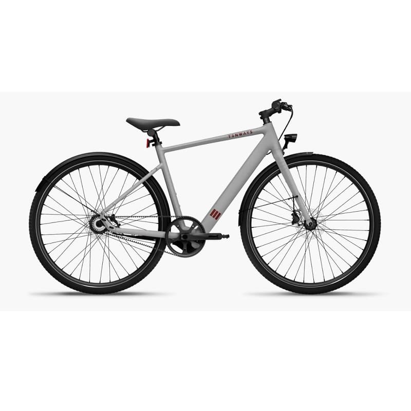 VTC Électrique Tenways CGO600