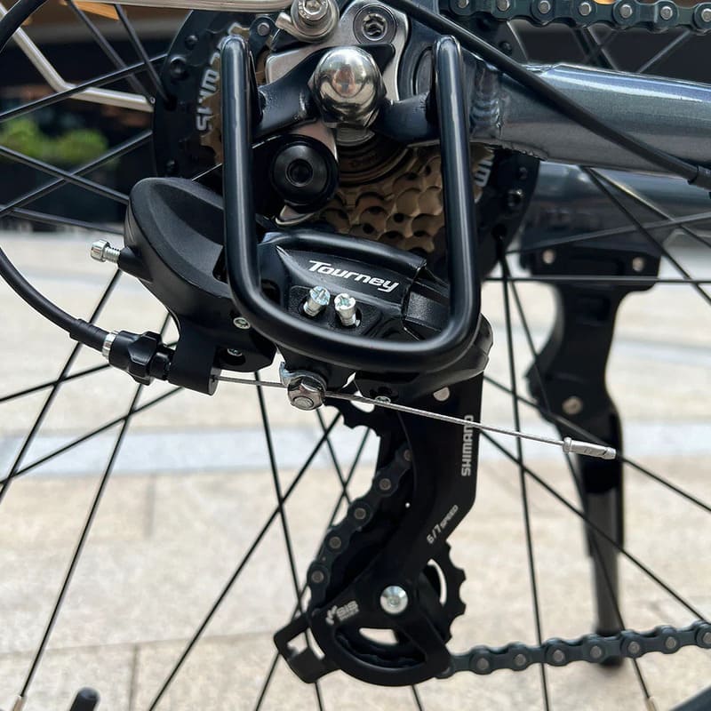 VTC électrique Molicycle R1 250W 26"