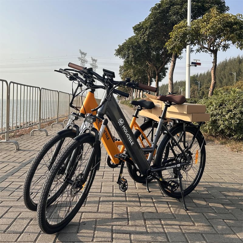 VTC électrique Molicycle R1 250W 26"