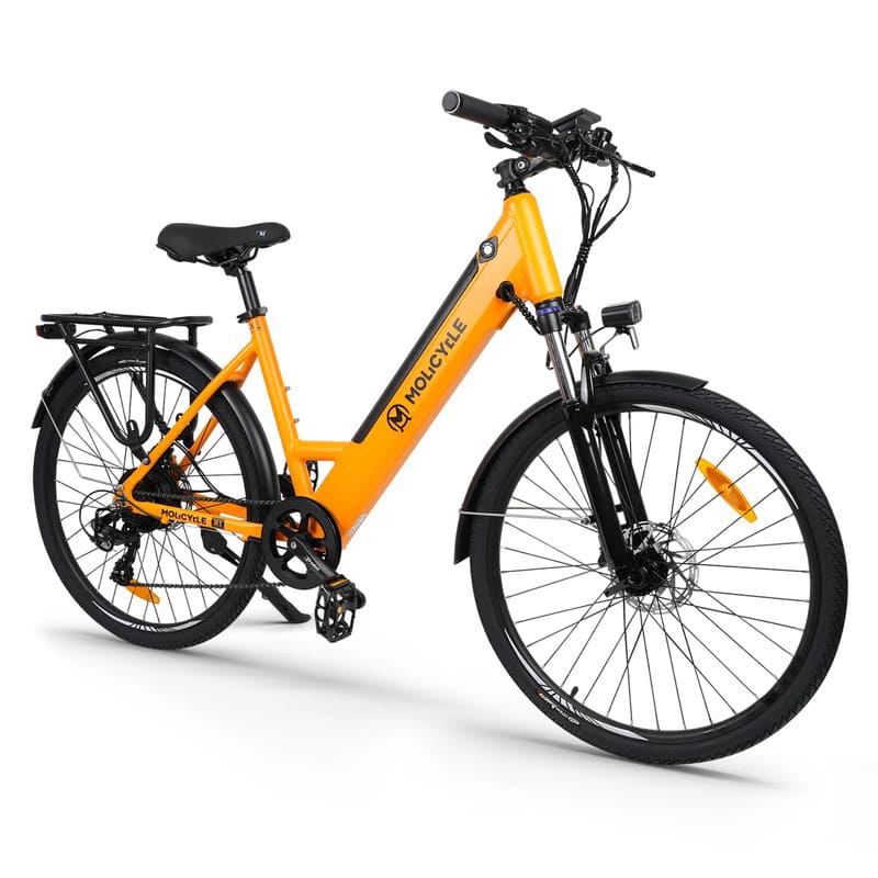 VTC électrique Molicycle R1 250W 26"