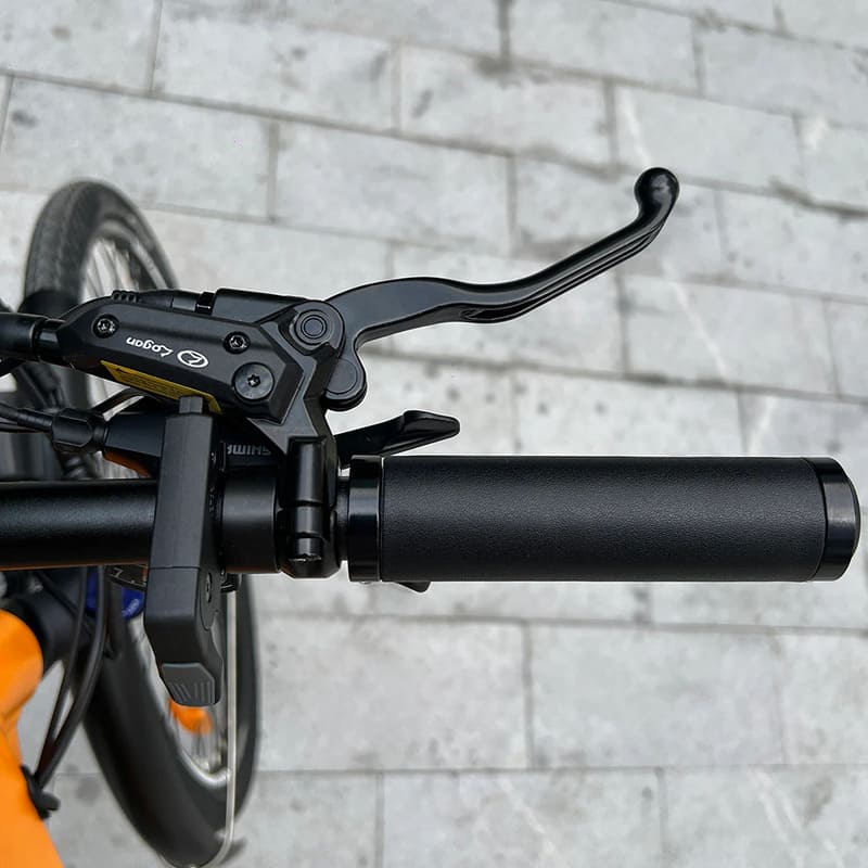 VTC électrique Molicycle R1 250W 26"