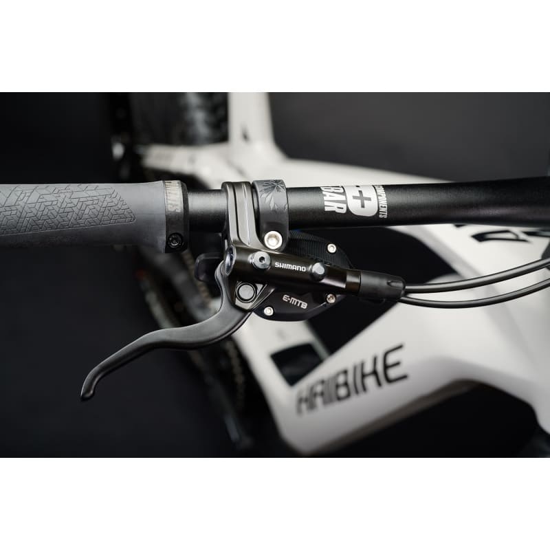 VTTAE Haibike ALLMTN CF 9 2022