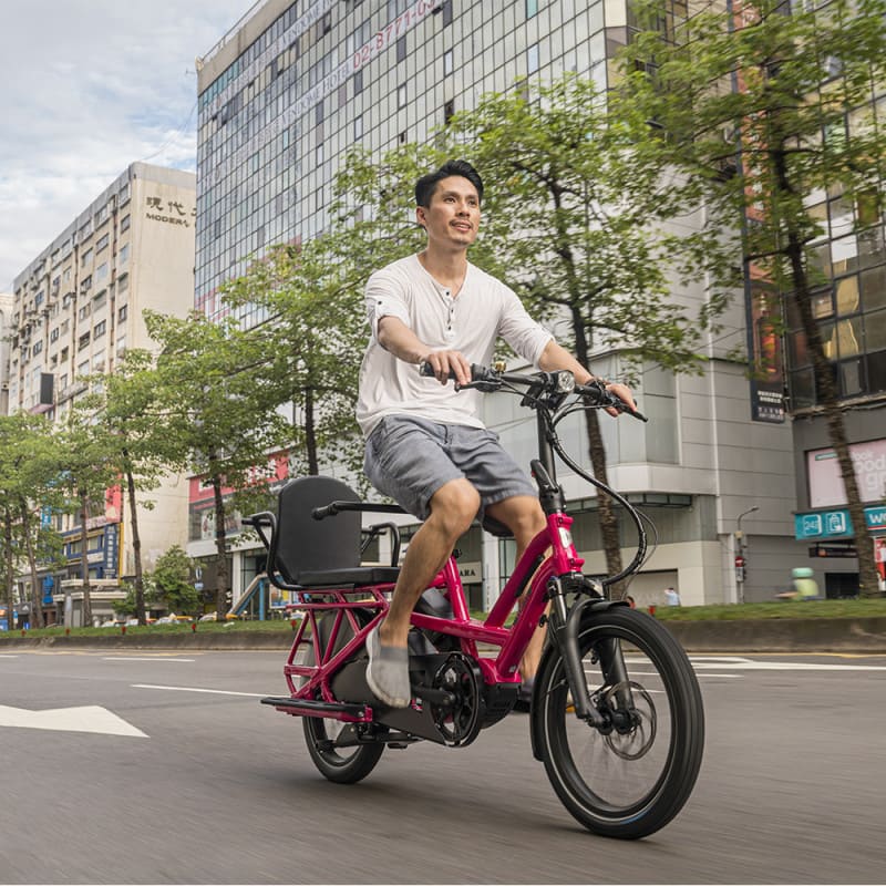 Vélo cargo électrique Tern GSD S10 LR