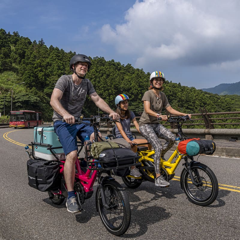 Vélo cargo électrique Tern GSD S10 LR