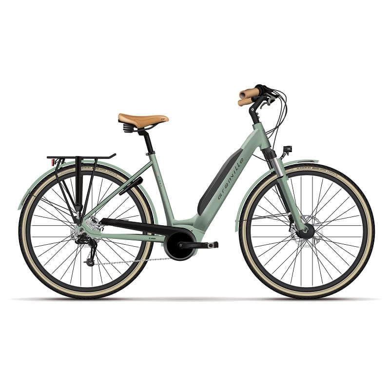Vélo de Ville Électrique Adulte E-URBAN-30