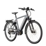 Victoria e-Trekking 12.6 Diamant