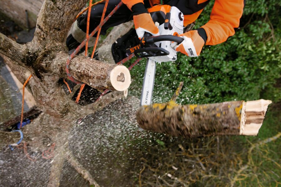 Elagage thermique STIHL MS 201 T-CM en guide de 35cm