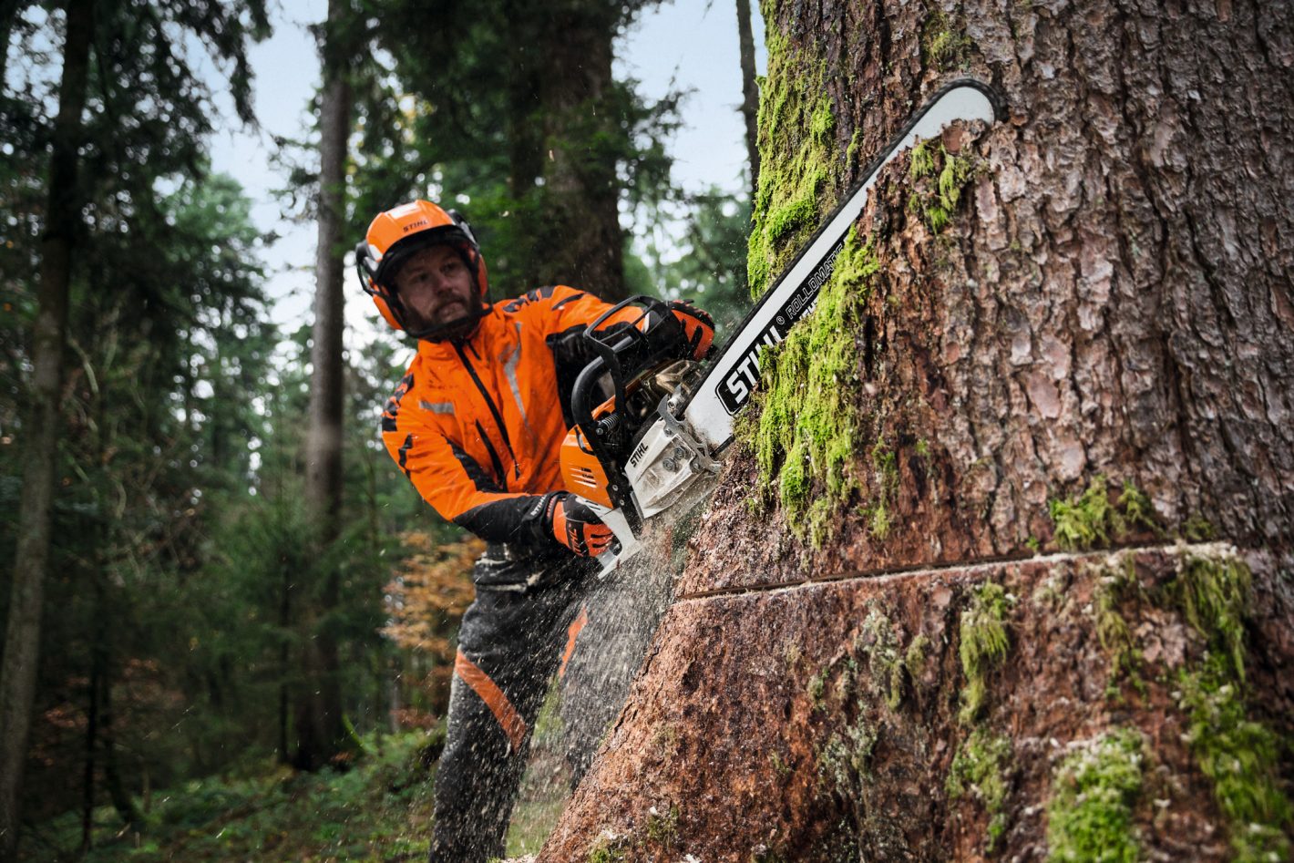 Tronçonneuse thermique STIHL MS 661 C-M